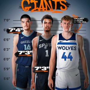 新赛季最高的三个人！埃迪2米24第1、文班第2、森林狼新秀第3